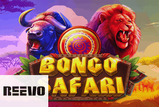Bongo Safari